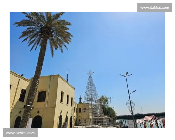 澳籍主帅阿诺德因以伊冲突滞留伊拉克 巴格达机场关闭陷困局